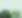 Green Tropical Leaves Photo Collage.png