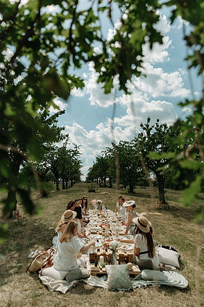 ezgif.com-gif-maker (3) (1).jpg