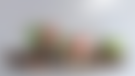 Hortaliças: aprenda sobre esse grupo de alimentos que deve fazer parte da sua dieta