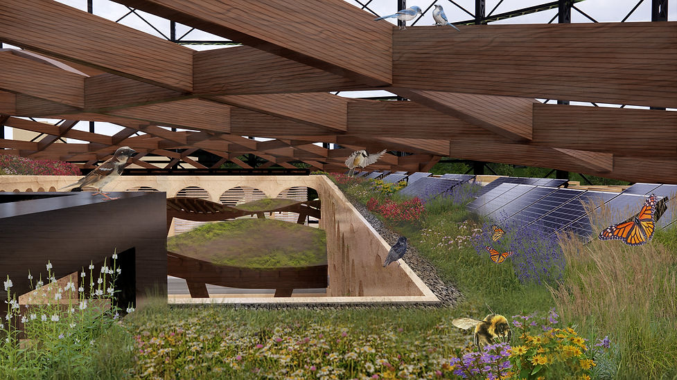 render 5 copy.jpg