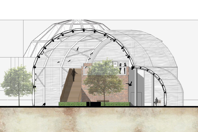 Aviary3.jpg