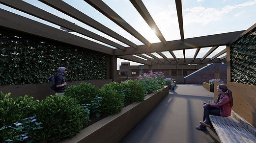 Rooftop Real.jpg