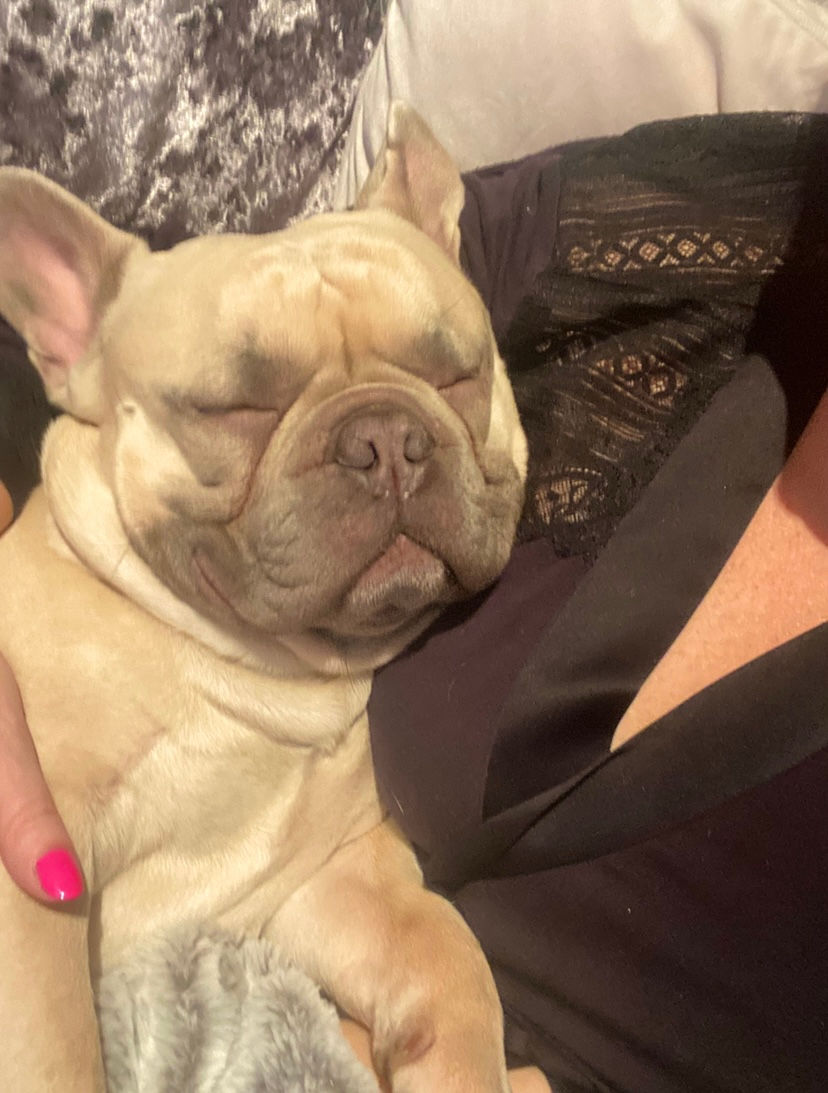 Day 22: Here Comes the Hot Stepper!