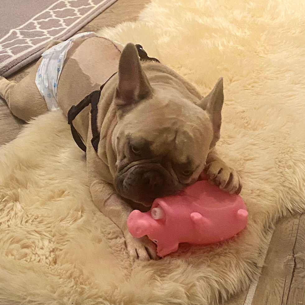 Day 9: The Rude Awakening