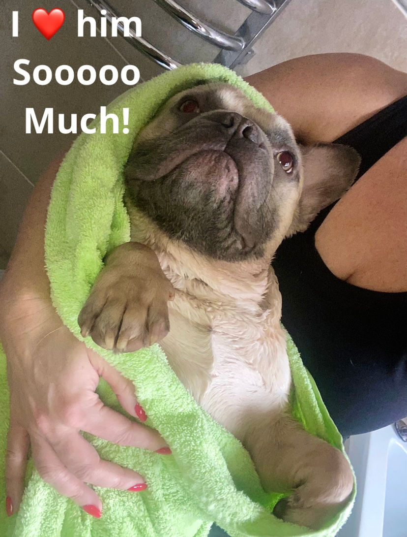 Day 56: Realisation Strikes; I’m a Loonie Dog Lady and the Vet Calls with a Blow.