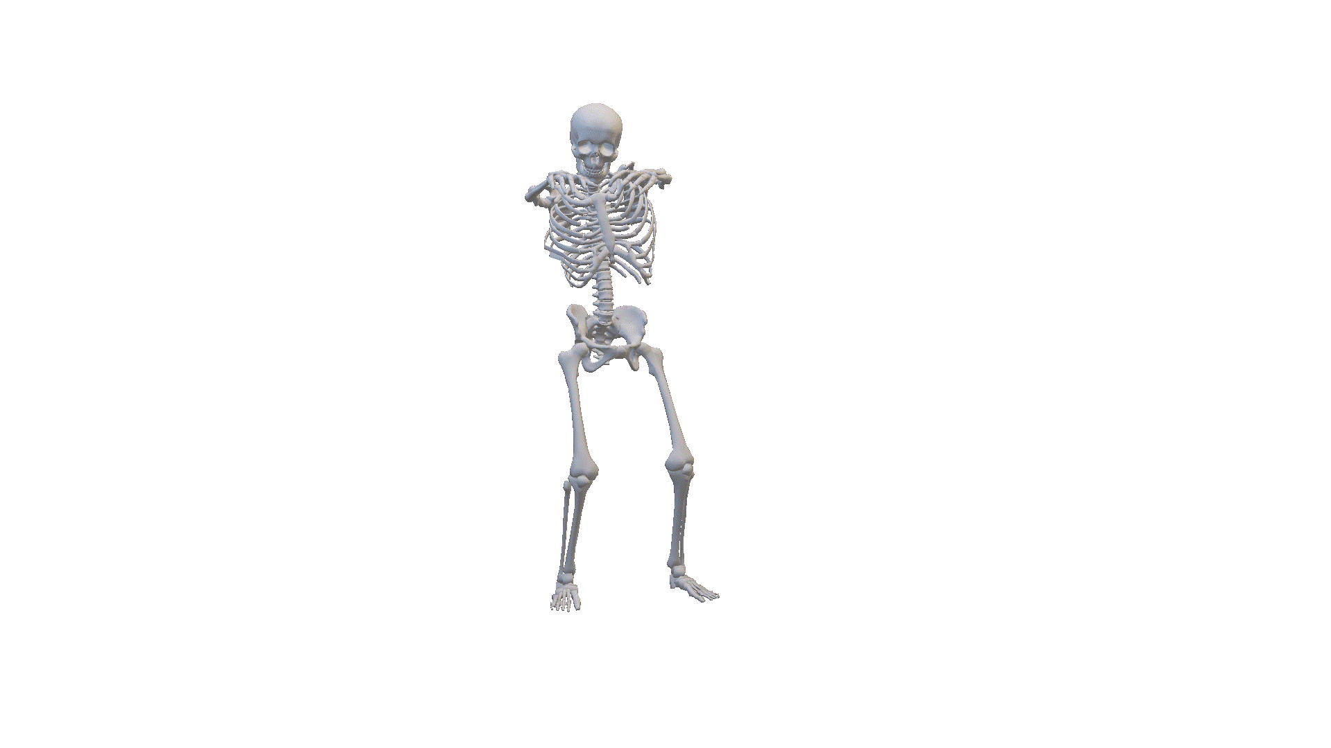 skeleton-13967.gif
