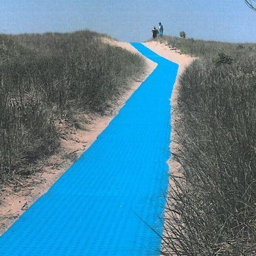 L'utilisation de sentiers de plage non balisés cause des dommages aux dunes, selon les responsables de Michigan City.