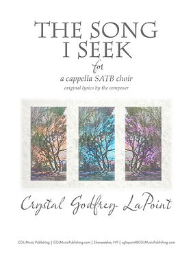 The-Song-I-Seek-cover-image.jpg