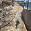 Thumbnail: Sand Fence installed