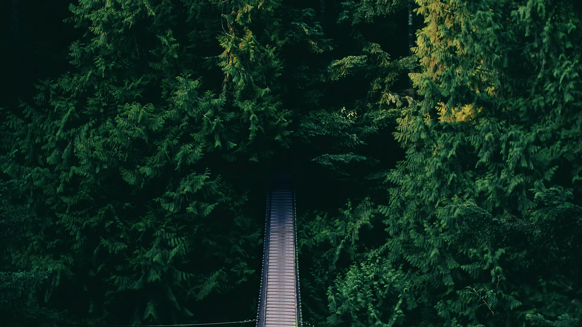 ponte1.webp