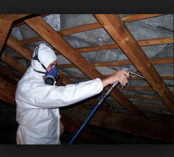 traitement-charpente-93