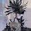 Thumbnail: Lionfish Scene
