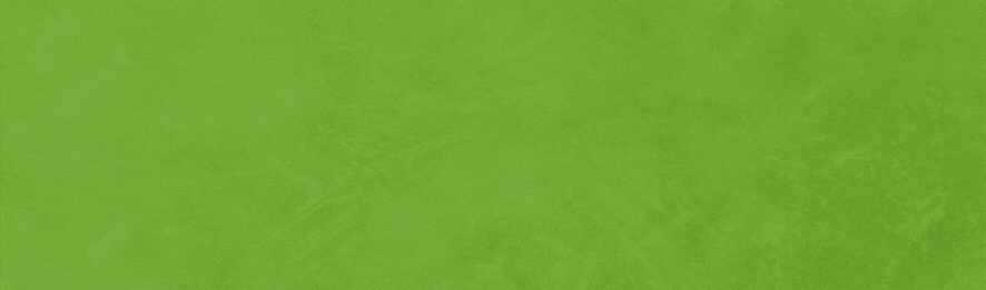 Banner Groot - Vroege vogel bowlen.gif