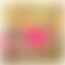 181218 マミグリリハ報告♪