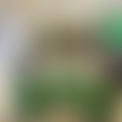 3/27土 西新井アリオイベント出演ご報告🎶