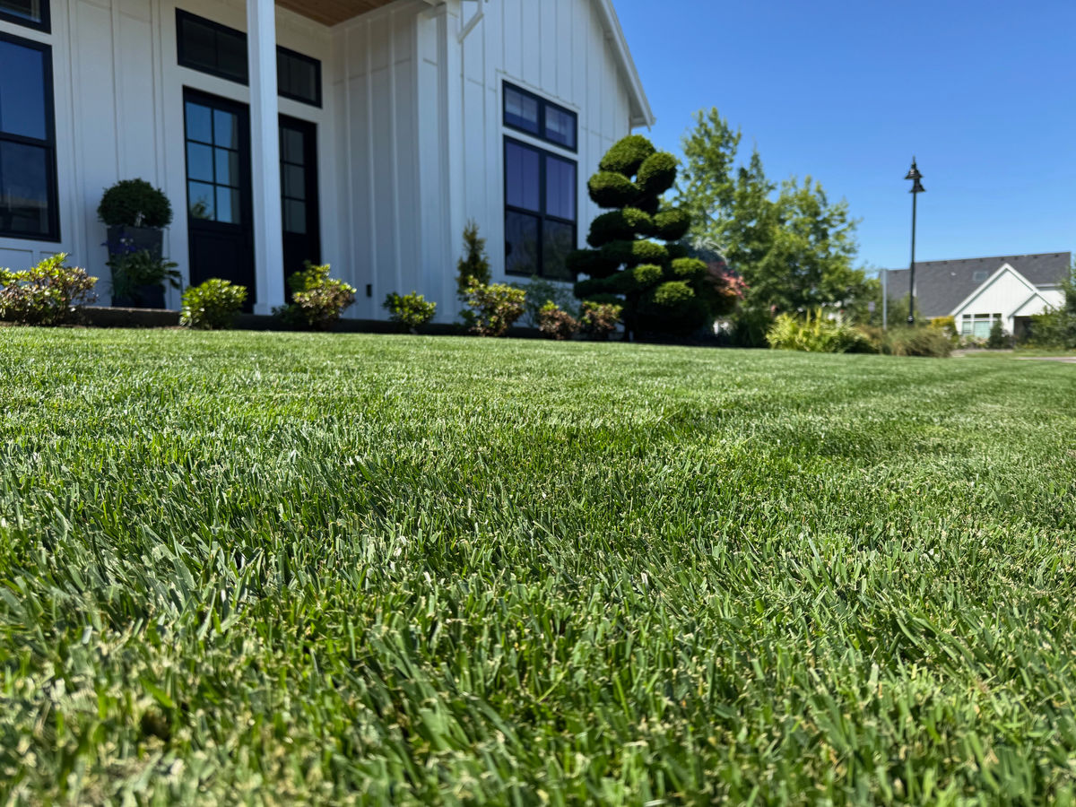 ProGrass Home & Landscape Improvements