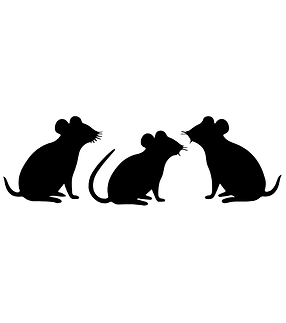Mice.png