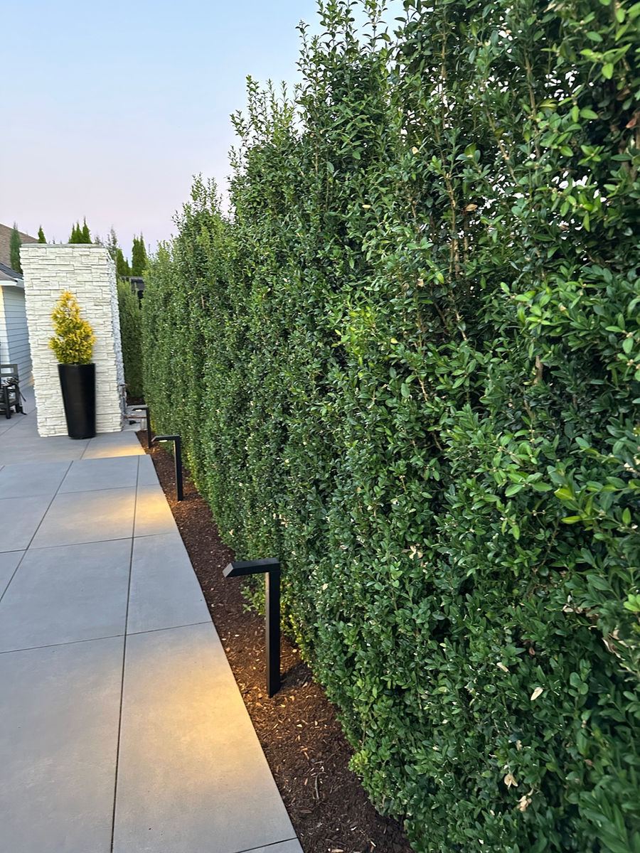 ProGrass Home & Landscape Improvements