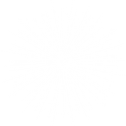 Site Assets.png