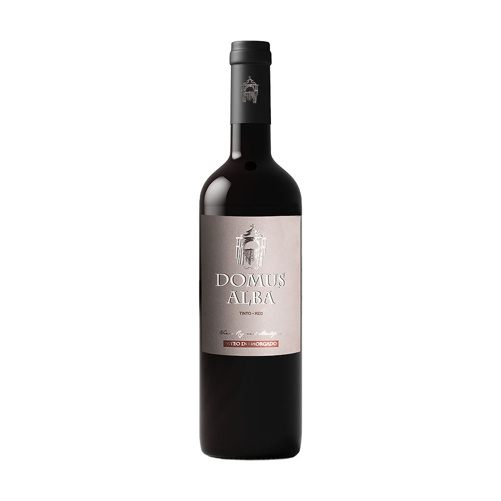 Vinho Tinto Domus Alba 2023 750ml