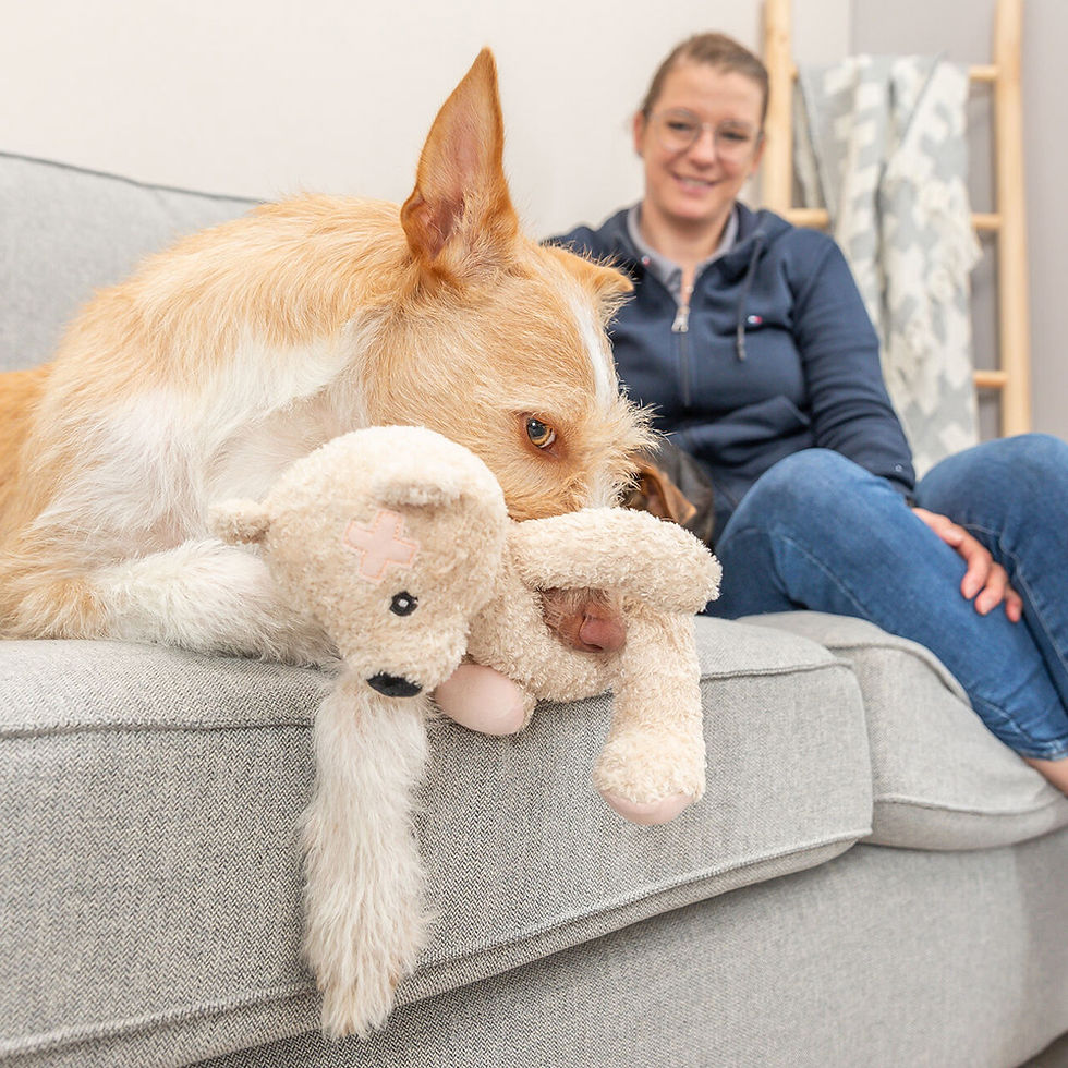 Miniatura: Peluche "Teddy Bear"