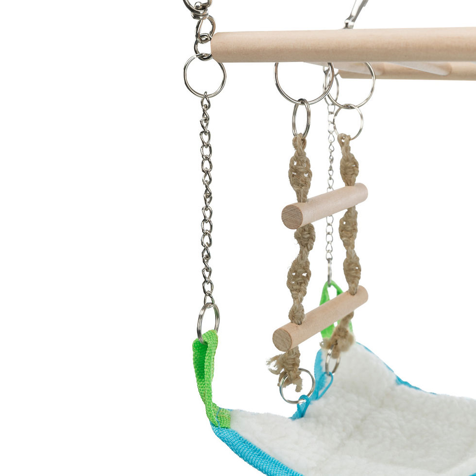 Miniatura: Ponte Suspensa Com Hammock