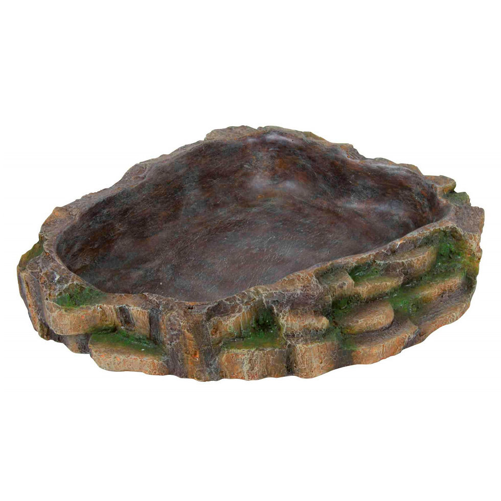 Miniatura: Comedouro / Bebedouro "Tropical"