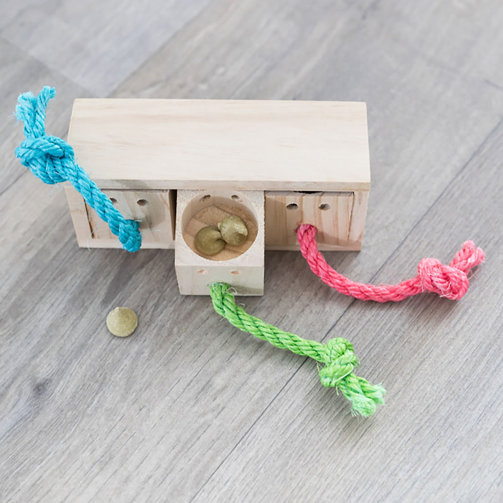 Miniatura: Snack Cube Em Madeira Para Roedores