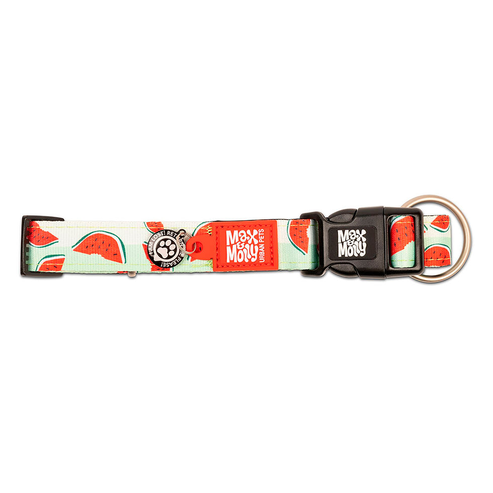 Miniatura: Max & Molly - Coleira Com Id Tag "Watermelon"