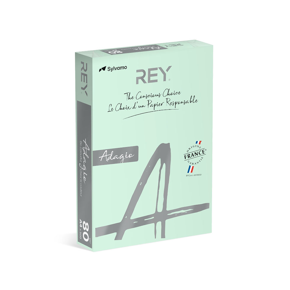 Papel Fotocopia Verde Claro Adagio(cd81) A4 80gr 1x500Fls