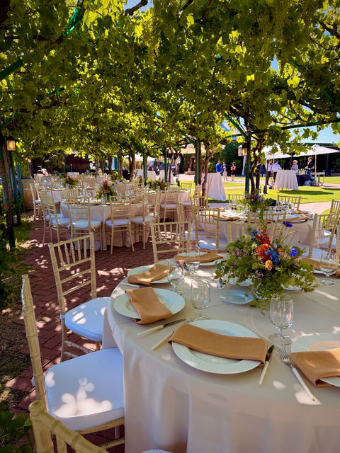 Dinner under the grapevines