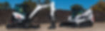 Page-Bobcat.jpg