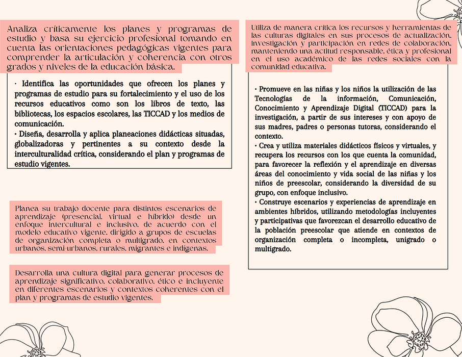 DOMINIOS ENTORNOS VIRTUALES.png