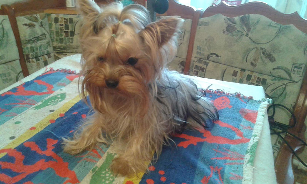 imageхани до.jpg