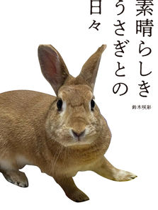 素晴らしきうさぎとの日々