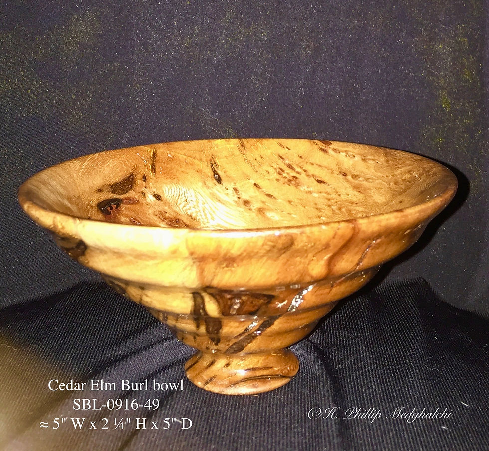 49- Cedar Elm Burl bowl