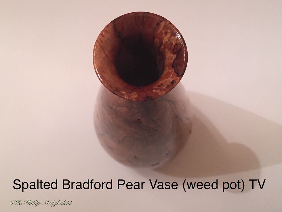 Thumbnail: My butterfly (spalted Bradford Pear)   ✔️ 4-4-17