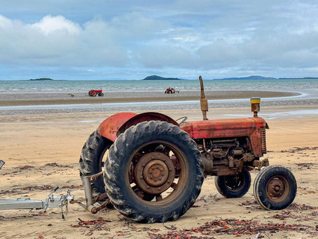 Midge Point Beach 拖拉機沙灘