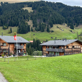 Holzhäuser in Adelboden aus dem Jahre 2009 mit Patina!