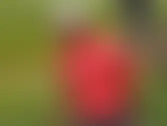 2023 PGA Tour Season Preview