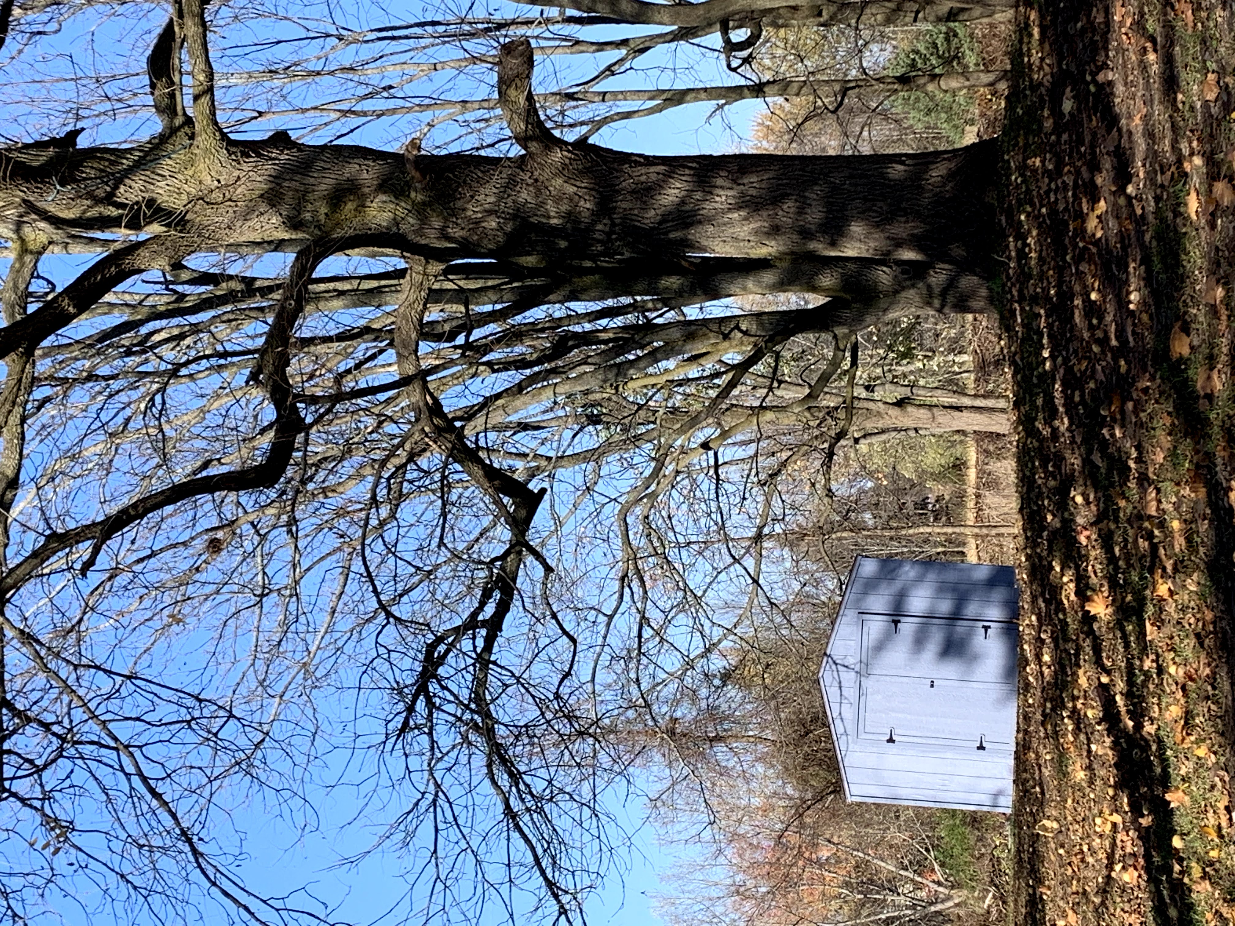 New Homes for Sale Penfield, NY Geoca Homes