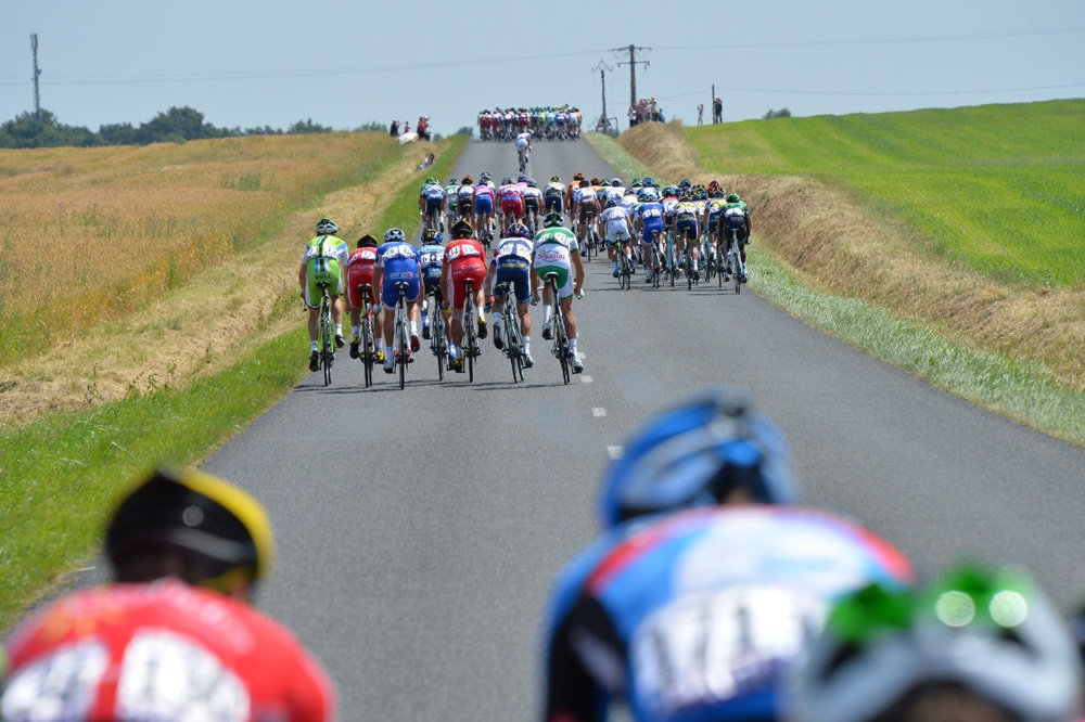 Why there should be a King of the Echelon