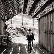 BASP 2021 #1 VSRT 1746.jpg