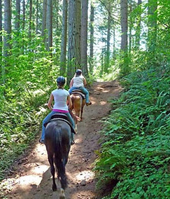 trail riding on horseback