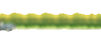 Copy of ANAIS.gif