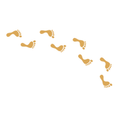 26.png