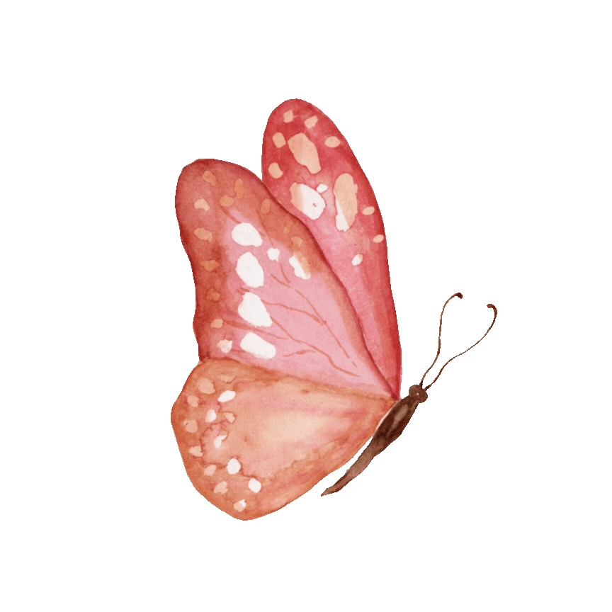 butterfly (5).gif