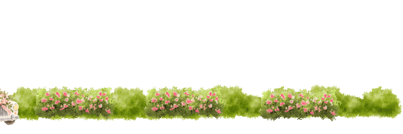 FOOTER (1).gif