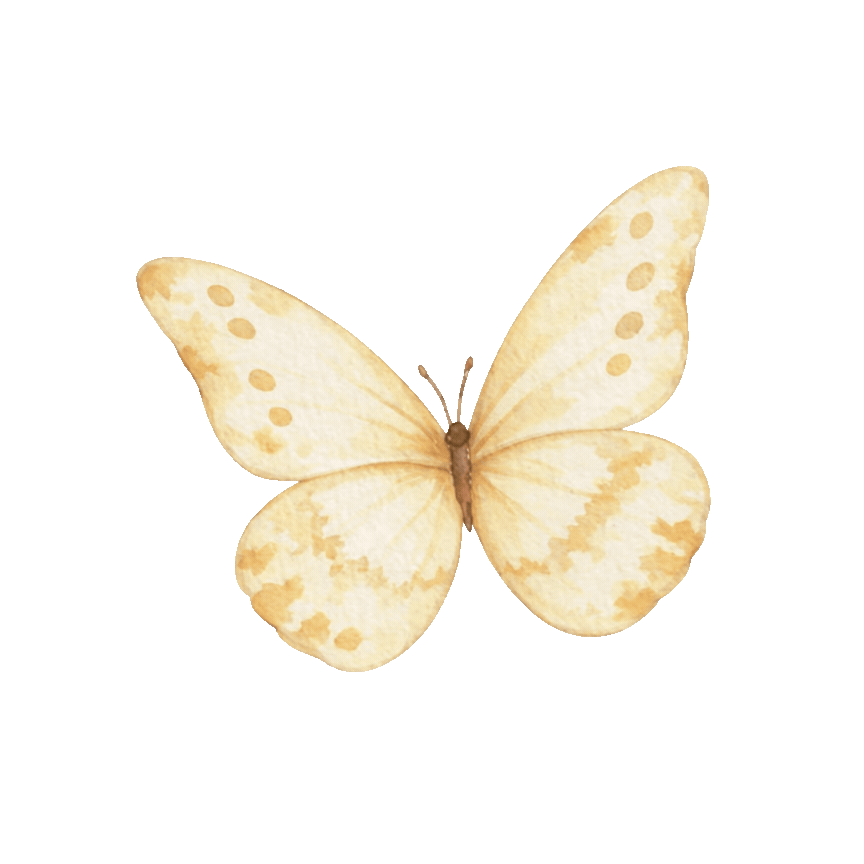 butterfly (4).gif