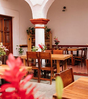 Levadura-interior.jpg